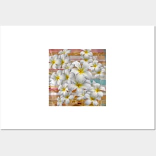 Plumeria Profusion Posters and Art